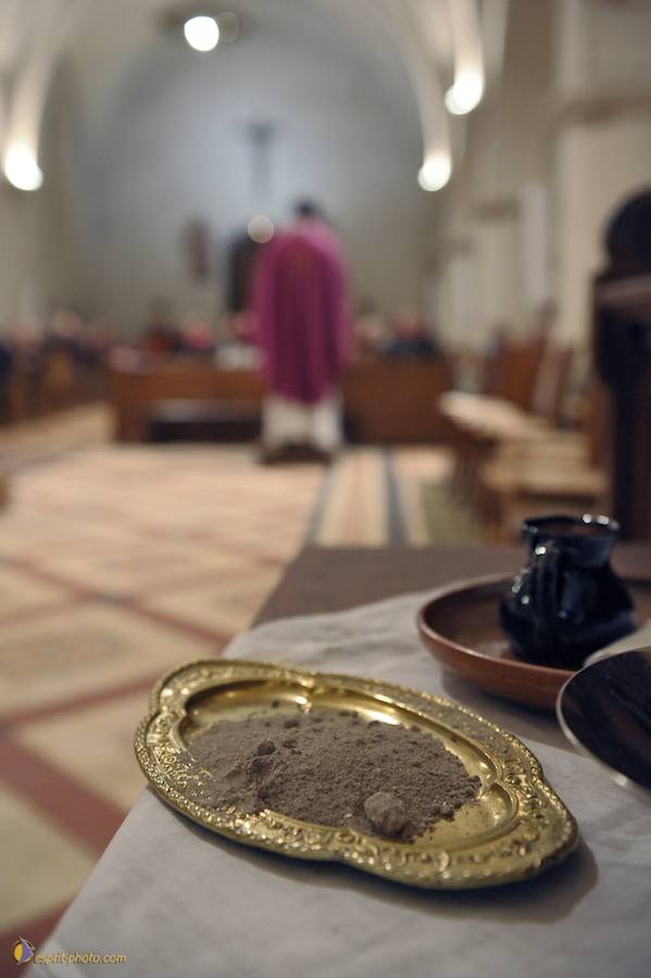 Nom de l'image : D30045816_1_(c)Norbert-JUNG — Description :